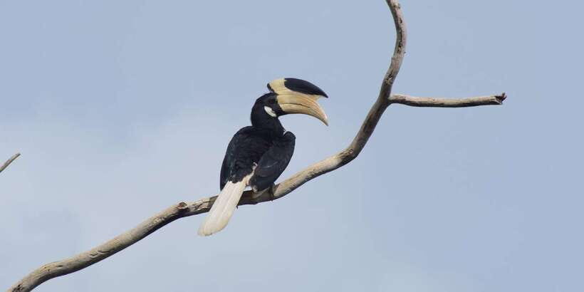 Udawalawe National Park Safari and Elephant Transit Home - The Value of Flexibility and Personal Attention