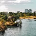 Udawalawe National Park Safari from Galle - Value and Practical Insights