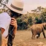 Udawalawe National Park Safari with Private Driver-Jeep and Enter ticket - Detailed Breakdown of the Tour