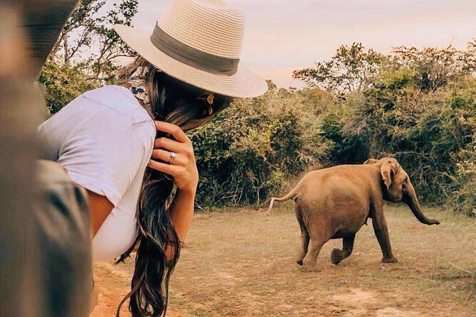 Udawalawe National Park Safari with Private Driver-Jeep and Enter ticket - Detailed Breakdown of the Tour