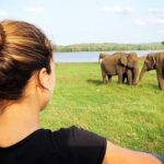 Udawalawe National Park Safari With Transfers From Colombo - Who Will Enjoy This Tour?