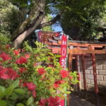 Ueno and Yanaka Culture Art Walking Tour in Old Tokyo - FAQ