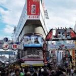 Ueno and Yanaka Day Walking Tour: Culture, Art and Old Tokyo - Exploring Tokyo’s Old Soul: A Deep Dive into the Ueno and Yanaka Tour