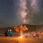 Ulaanbaatar: Small Group 3-Day Best of Central Mongolia Tour - The Value of This Tour for Travelers