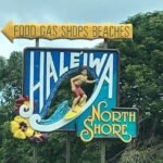 Ultimate Circle Island: Beauty and the Feast from Ko Olina - Who Is This Tour Best For?