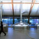 Ultimate Craft Beer Tour Through Niagara - The Value of the Experience