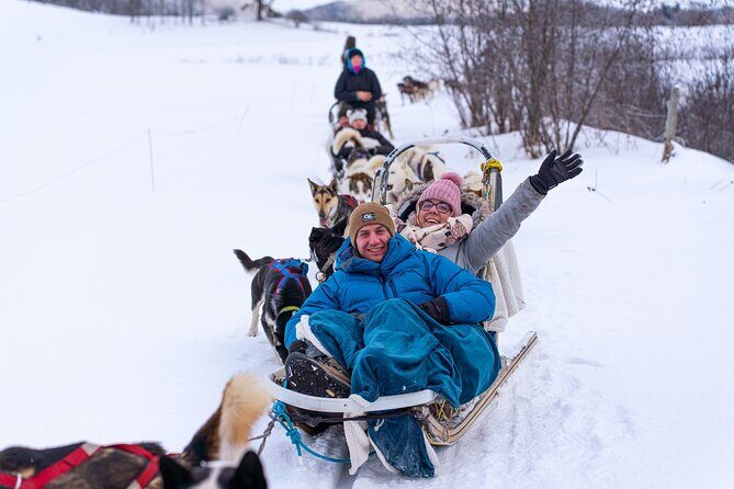 Ultimate Dog Sledding Tour - Day trip from Ottawa & Gatineau - Final Thoughts