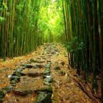 Ultimate Hana Full-Day Adventure Tour - Why This Tour Stands Out