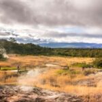 Ultimate National Park Tour from Waikoloa - Authentic Experiences and Authenticity