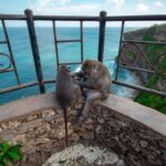 Uluwatu Temple Balangan Beach eBike Private Tour - FAQ