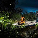 Unbelievable Firefly Kuala Selangor Day Tour - FAQs