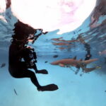 Underwater Photography Course - What’s Included and What’s Not