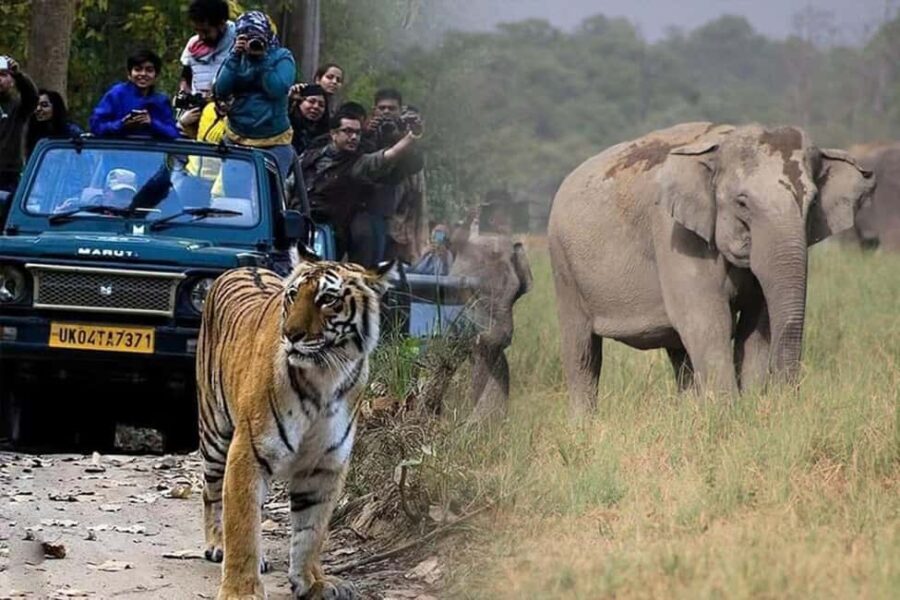 Unforgettable 2-Day Double Safari in Jim Corbett Park - The Experience: What Makes It Special?