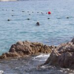 unforgettable snorkeling activity in The Sea of Cortes - FAQs