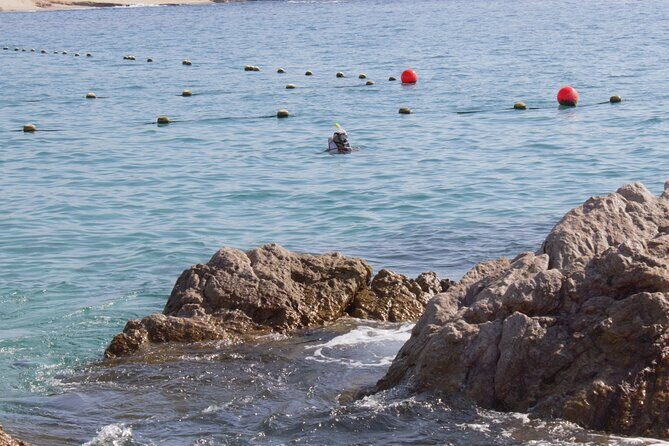 unforgettable snorkeling activity in The Sea of Cortes - FAQs