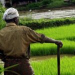 Unique Shimla and Manali tour - What Travelers Say