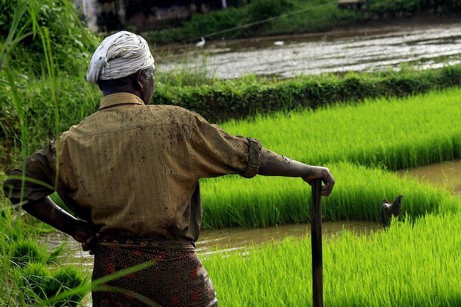 Unique Shimla and Manali tour - What Travelers Say