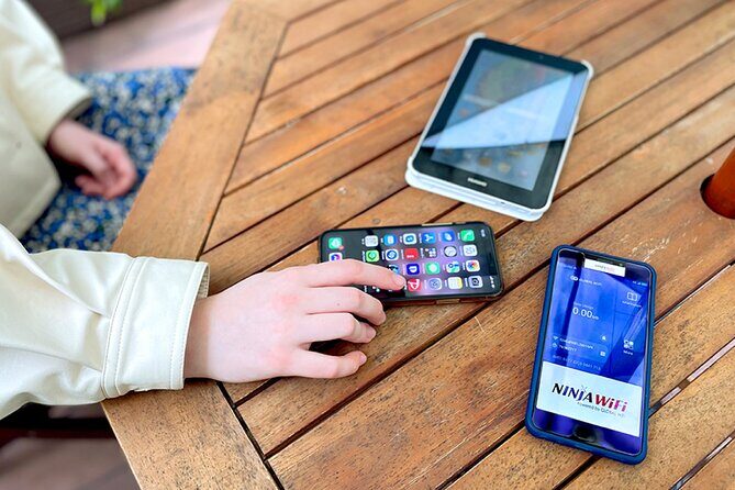 Unlimited WiFi Router - Haneda Airport (Tokyo) Pickup - Potential Drawbacks and Considerations