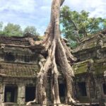 Unveil The Magic Of Angkor Wat Sunset In A Day Personalized Tours - Final Thoughts