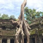 Unveiling 2 Days Private Angkor Wat/Beyond In Sunrise/Sunset Tour - Who Should Consider This Tour?
