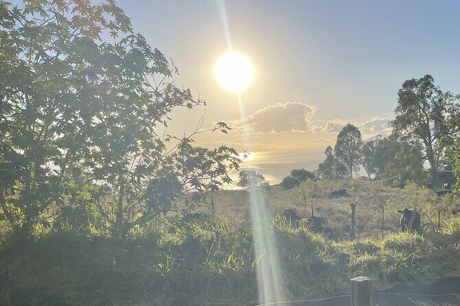 Upcountry Sunset Tour - A Detailed Look at the Upcountry Sunset Tour