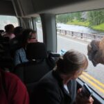 Upper Loop Tour and Lamar Valley from West Yellowstone with Lunch - The Sum Up