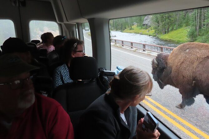 Upper Loop Tour and Lamar Valley from West Yellowstone with Lunch - The Sum Up