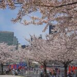 Uptown to Midtown Roosevelt island tour - What’s Included and What’s Not