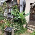 Urban Canvas: Osaka Street Art Bike Tour - FAQ