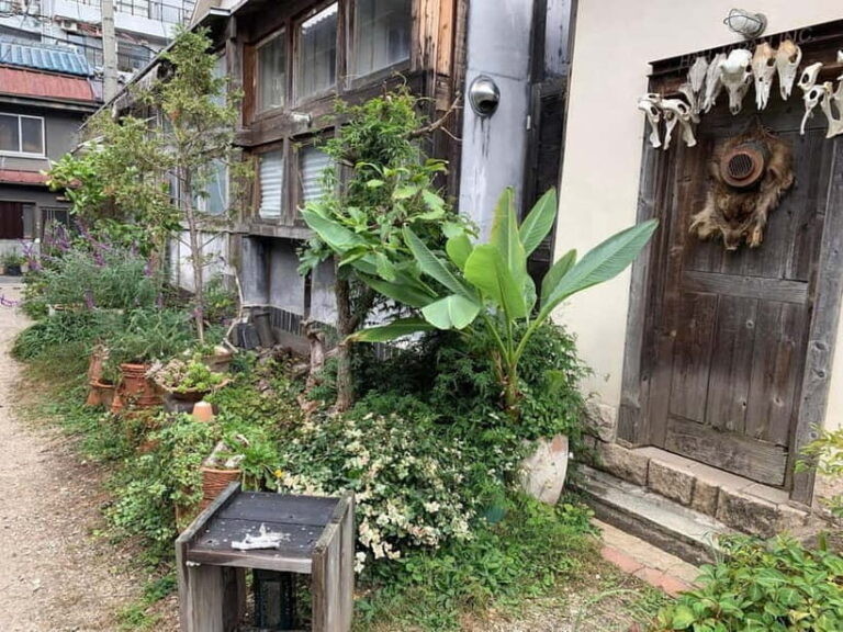 Urban Canvas: Osaka Street Art Bike Tour - FAQ