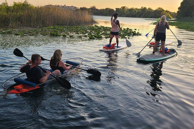Urban Clear Kayak or Clear Paddleboard in Paradise: Morning/Night - A Closer Look at the Orlando Waterway Experience