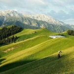 Urumqi: 8-Day Private Tour to Sayram Lake and Yining - Exploring Xinjiang’s Scenic and Cultural Gems