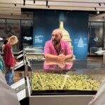 US Capitol & Supreme Court: Exclusive Small-Group Tour - Analyzing the Value and Practicalities