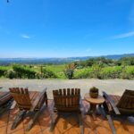 USA/California/Napa: Private Wine Tour for up to 6 guests - Who Will Love This Tour?