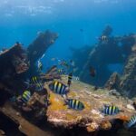 USS Liberty Shipwreck Scuba Diving at Tulamben Bali - Who Should Consider This Tour?
