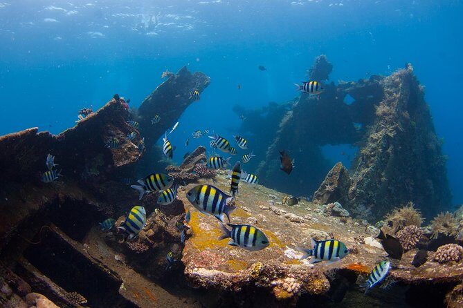 USS Liberty Shipwreck Scuba Diving at Tulamben Bali - Who Should Consider This Tour?