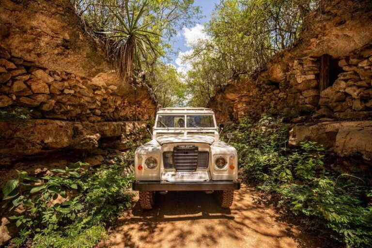 Uxmal: Private Plantations Tour in a Vintage Land Rover - Who Will Love This Tour?