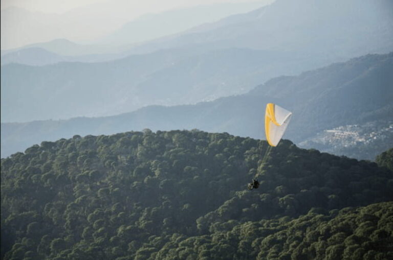 Valle de Bravo: Fly Paragliding with Instructor and Enjoy the View - Who Is This Tour Best For?