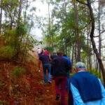 Valle de Bravo: Forest Hiking Adventure - What’s Included and What’s Not