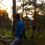 Valle de Bravo: Magical night at the forest - Why This Tour Makes Sense