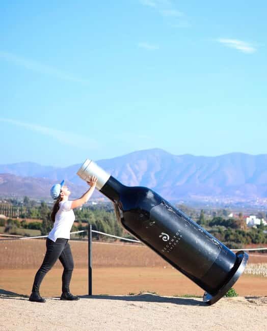 Valle de Guadalupe Tour: Wine Tastings Included - The Sum Up