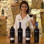 Valle de Guadalupe: Wine Tasting and Wagon Tour - Exploring Baja California’s Valle de Guadalupe: The Full Experience