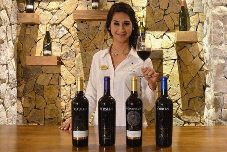 Valle de Guadalupe: Wine Tasting and Wagon Tour - Exploring Baja California’s Valle de Guadalupe: The Full Experience