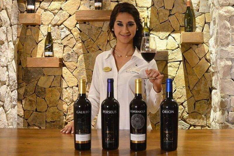 Valle de Guadalupe: Wine Tasting and Wagon Tour - Exploring Baja California’s Valle de Guadalupe: The Full Experience