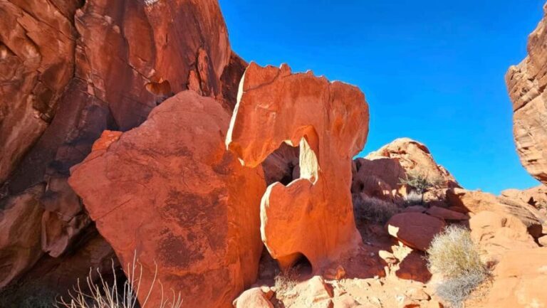 Valley of Fire - Authentic Experiences and Genuine Value