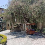 Val´quirico And The City of Angels Puebla From Mexico City - In-Depth Look at the Tour Experience