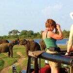 VALUE PACK! One Day Safari Tour to Yala and Udawalawa Parks - Why Choose This Tour?