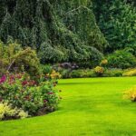 Vancouver 1-Day city tour - Practical Considerations and Insights