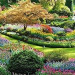 Vancouver 3 Days Budget Tour With Victoria & Whistler - Day 2: A Drive Through BC’s Spectacular Landscape