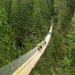 Vancouver and Capilano Park Private Tour - Why This Tour Stands Out